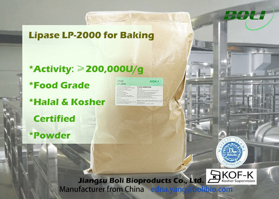 200000u/G пудрят высокий эффективный энзим липазы Lp-2000 для использования в качестве еды пекарни